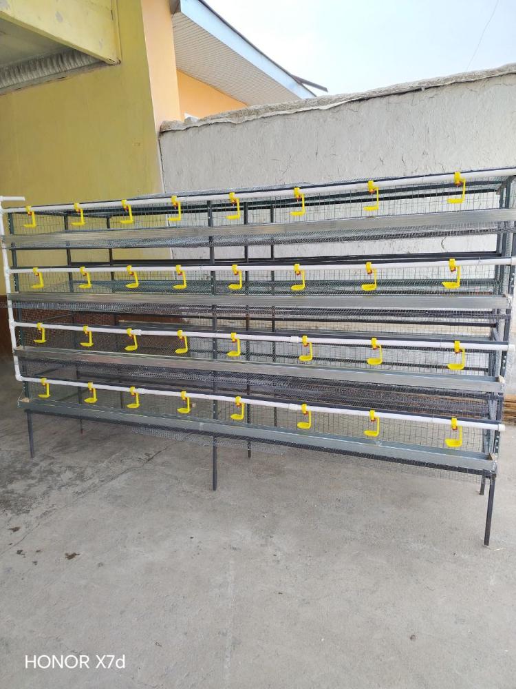 Кафас сотилади Жиззах шахарда