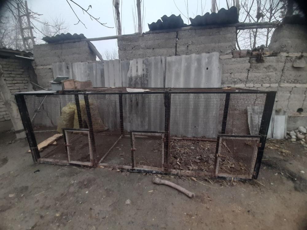 Катаг (қафас) сотилади 3×1×1 м