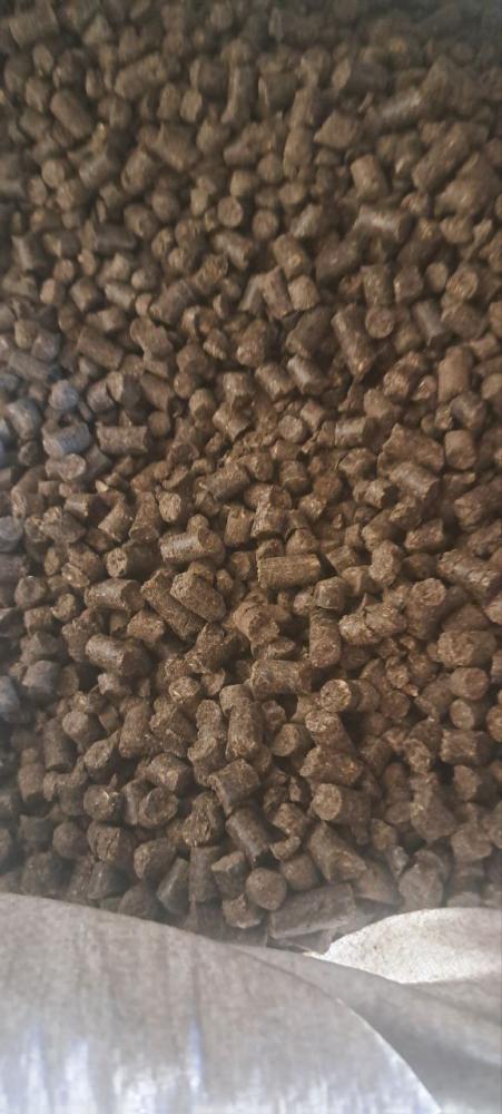 Semichka shrot Qozogiston Toshkent