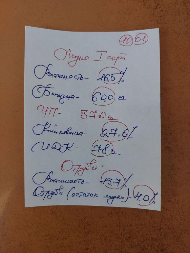 Бугдой КЗХ клейковина 20+