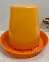 Кармушка жўжа ва бедана