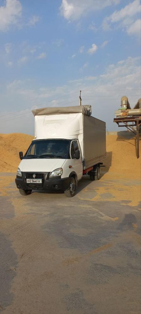 Sholi poʻchoq yetkazib beramiz