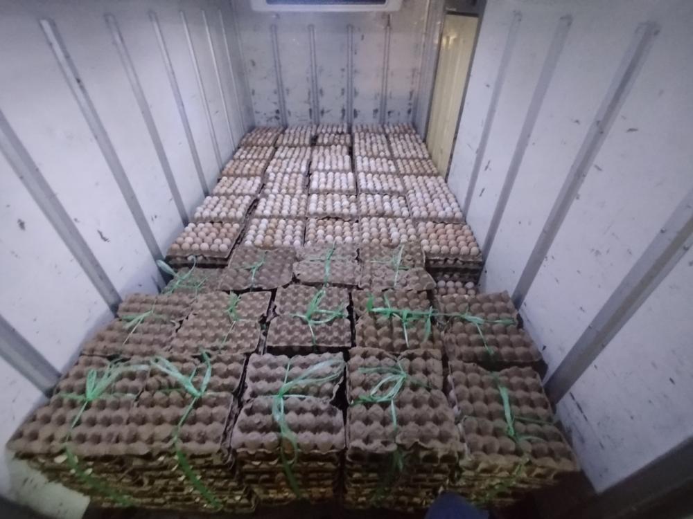 Urugʻlangan Damash tovuq tuxumlari