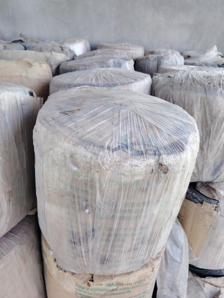 ZIK ZAK kapelniy lenta