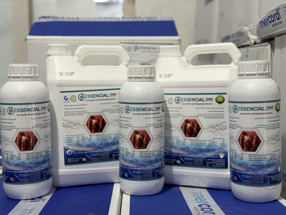 Натуральный гепатопротектор Бельгия