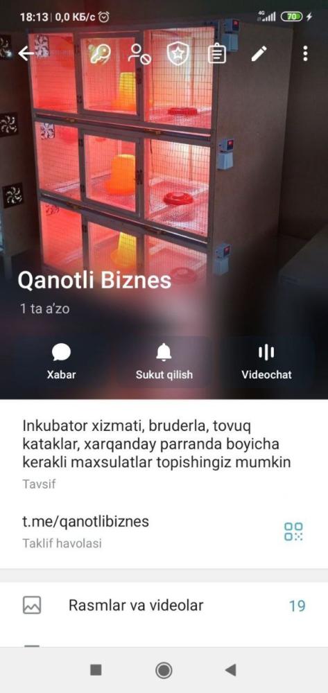 BRUDER bruderlari — joja boqish uchun