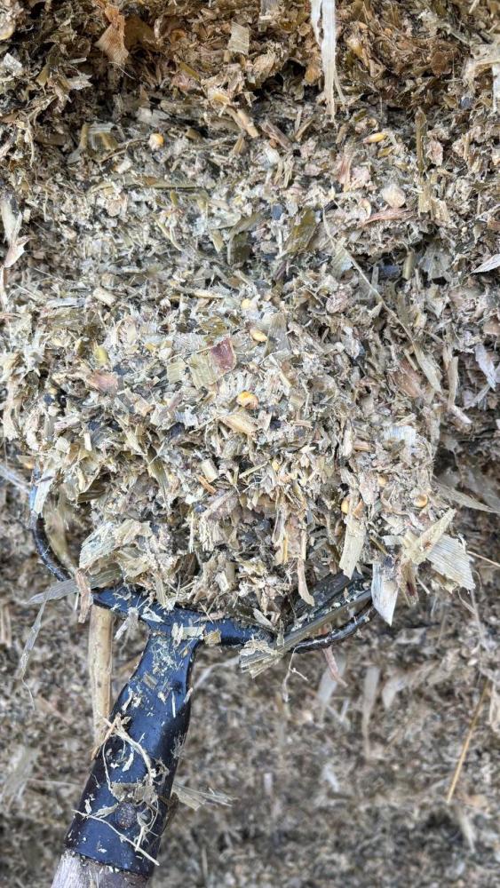 Маккажўхори силос пачкали 20 кг