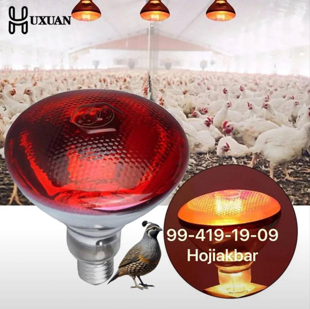 Issiqlik lampalari 100-275W