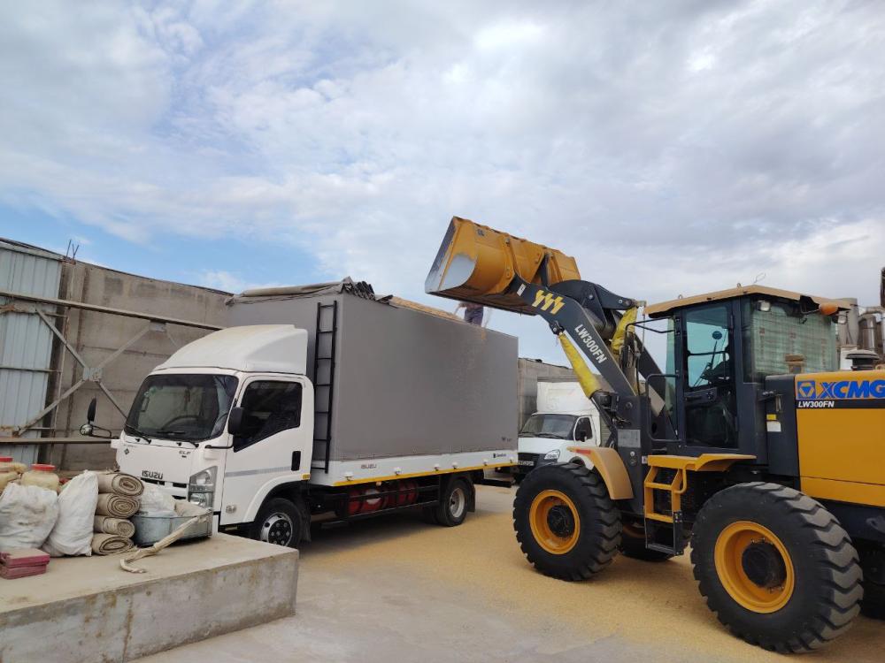 SHOLI po'choq yekazib beramiz