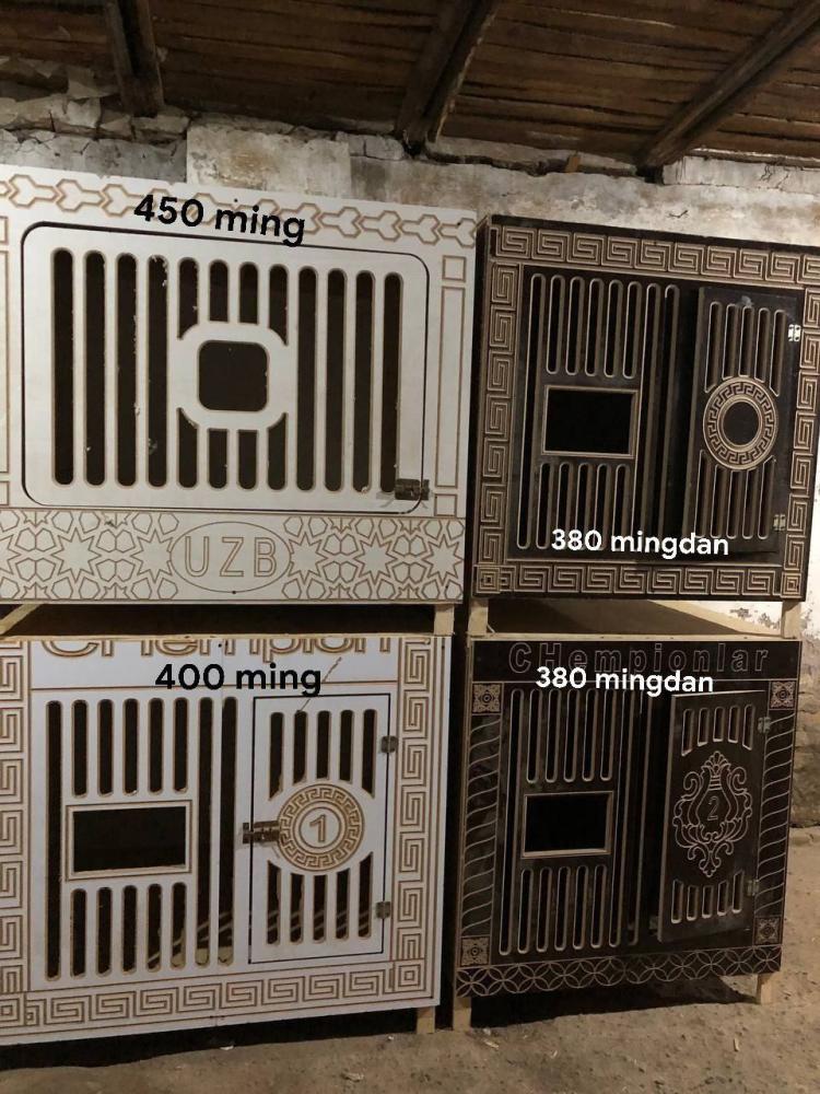 Xar xil kataklar sotiladi