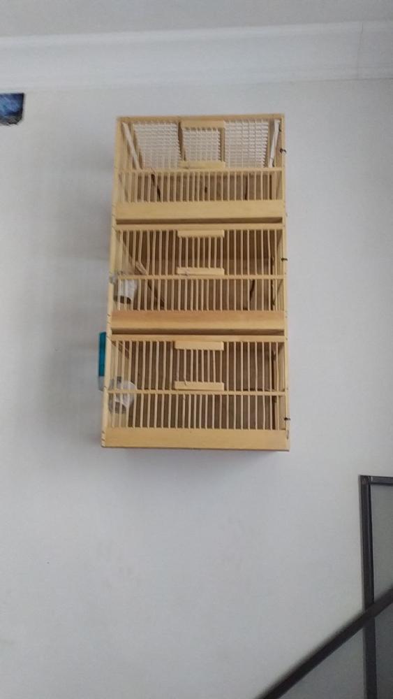 Сайратма кафас сотилади