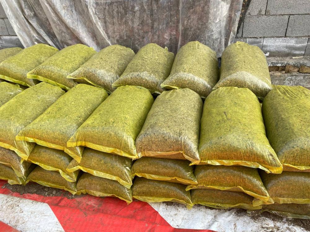 Kuzgi makkajo'xori silosi