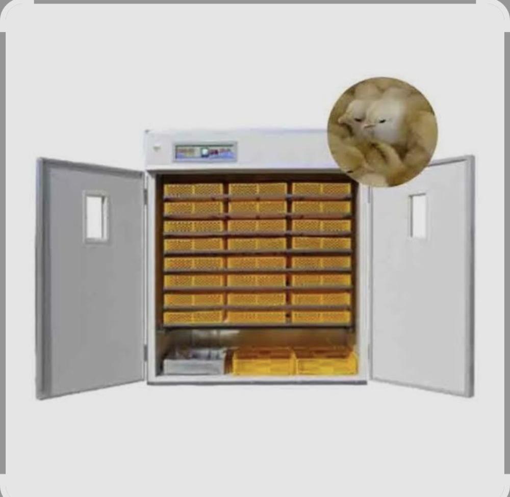 Ishonchli inkubator xizmati