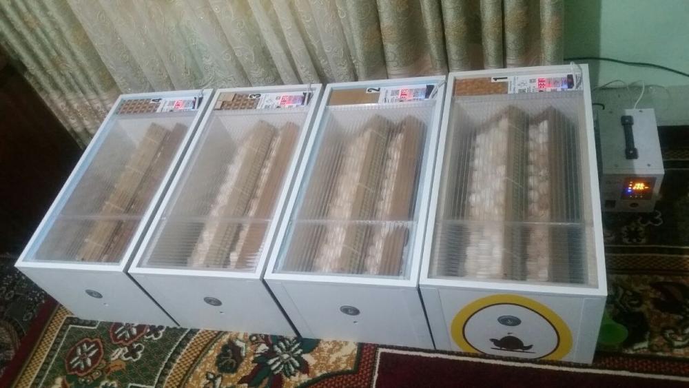 Инкубатор Норма Луппер С10