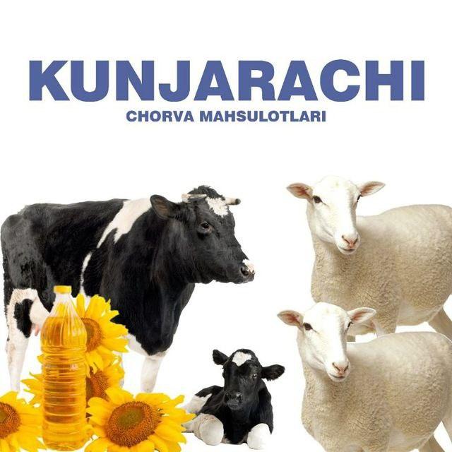 Заводдан йогли кунжара