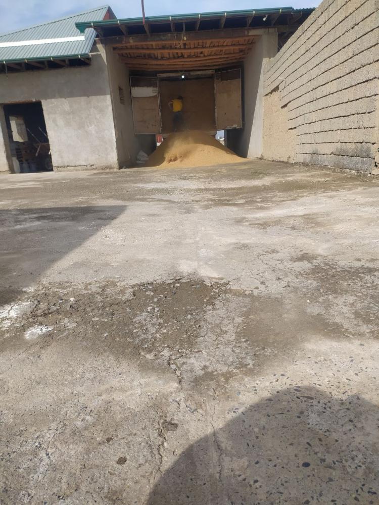 Sholi kebagi 5 va 10 tonna