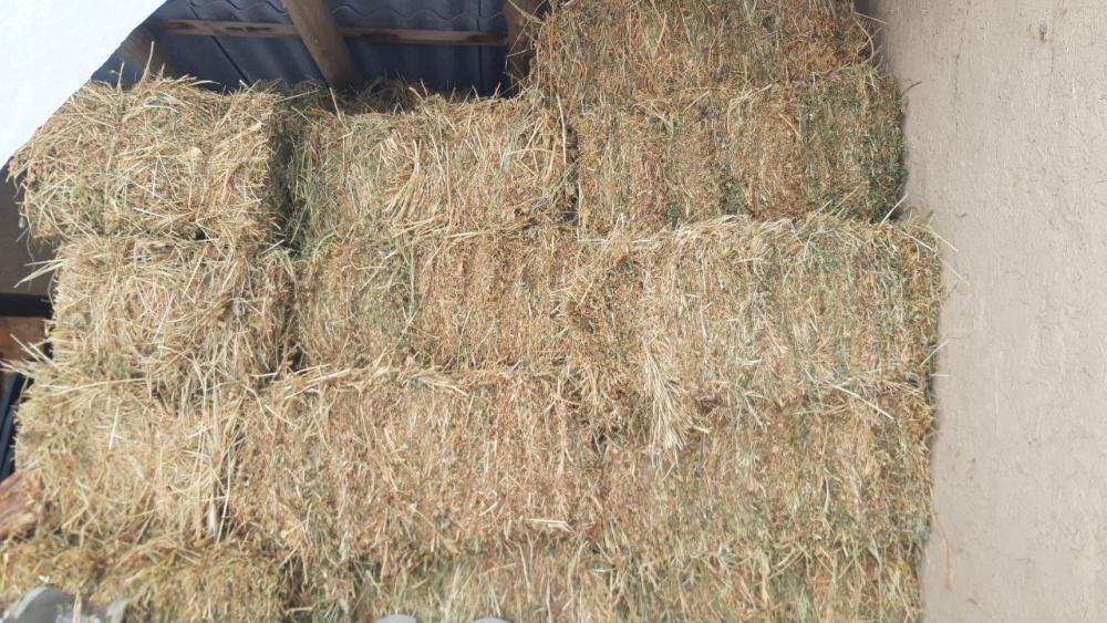 Беда пресс бор