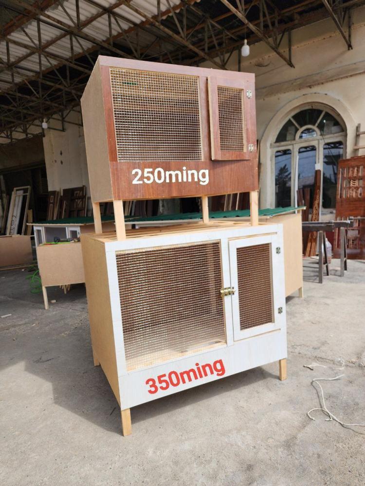 Xar xil turdagi kataklar