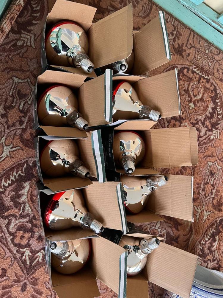 Жўжалар заказга Маргилонда