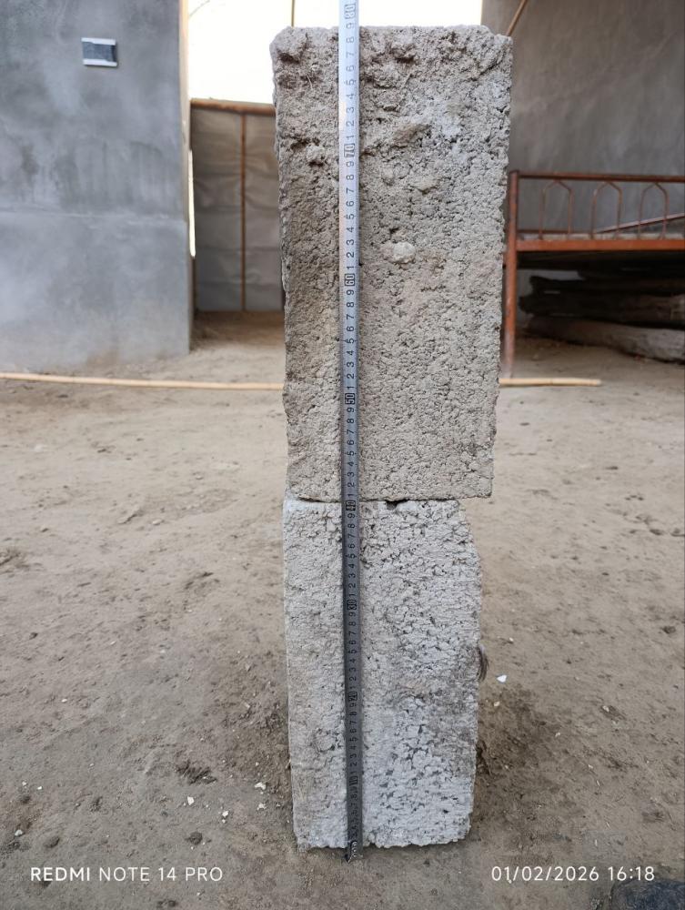 Qora shaxzoda gigant xoʻroz sotiladi