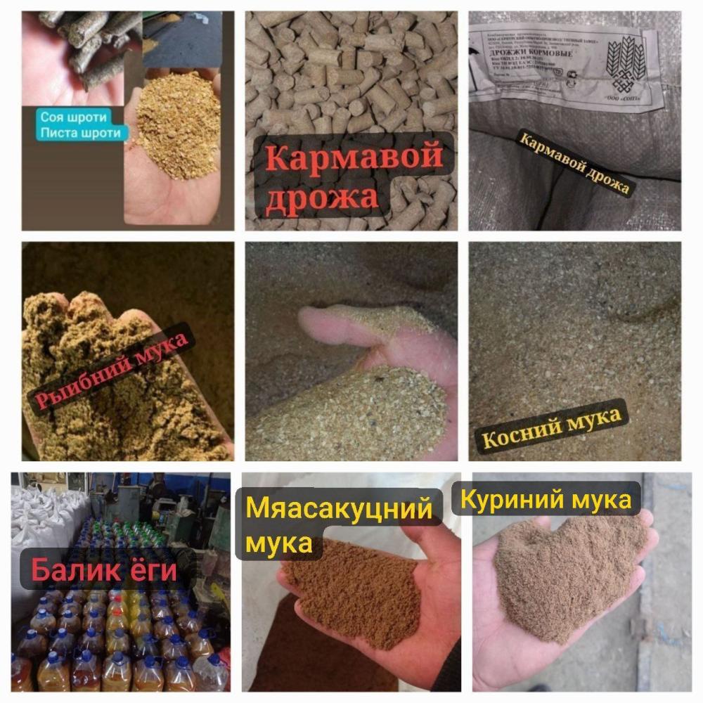 БАЛИК учун премикс ва шротлар