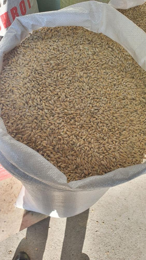 Sifatli qoplangan arpa