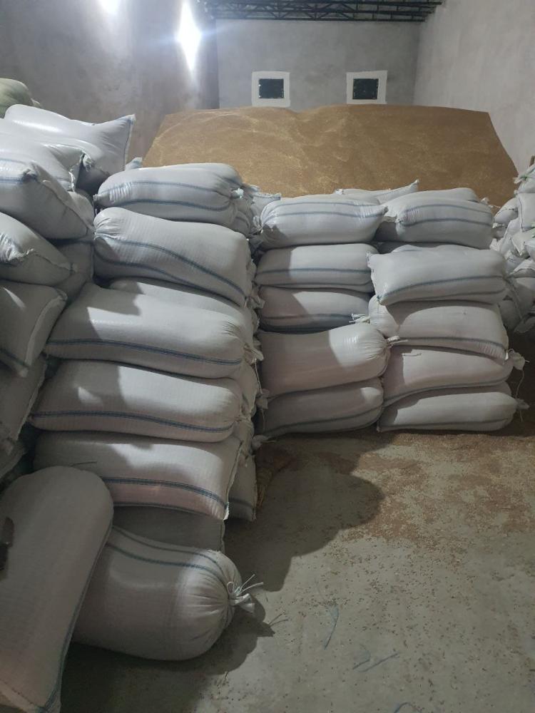 Bugʼdoy Buxoroda 3800 soʼm