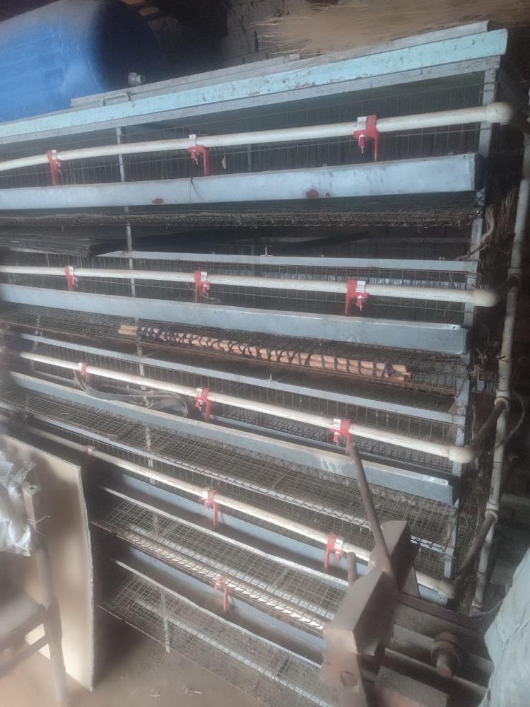 Бедана кафаси 5 этаж