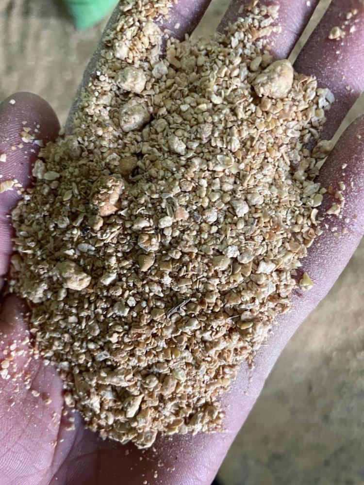 Соя шрот 46–47% протеин