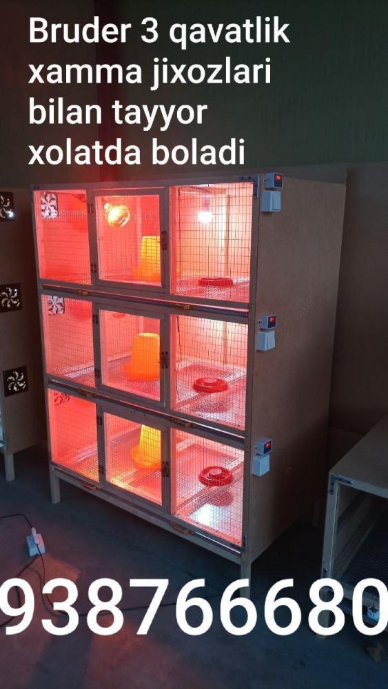 BRUDER inkubator xizmatlari Namangan