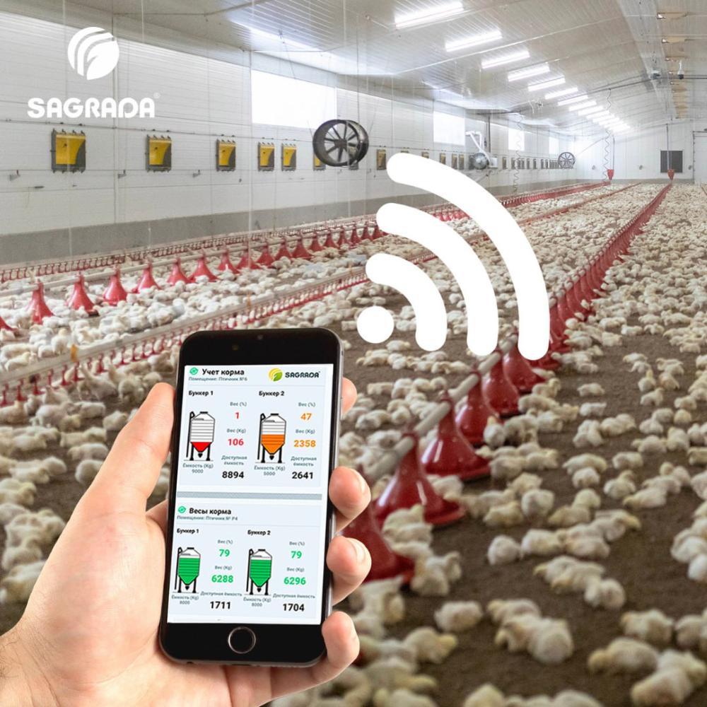 Masofadan boshqariladigan broyler uskunalari