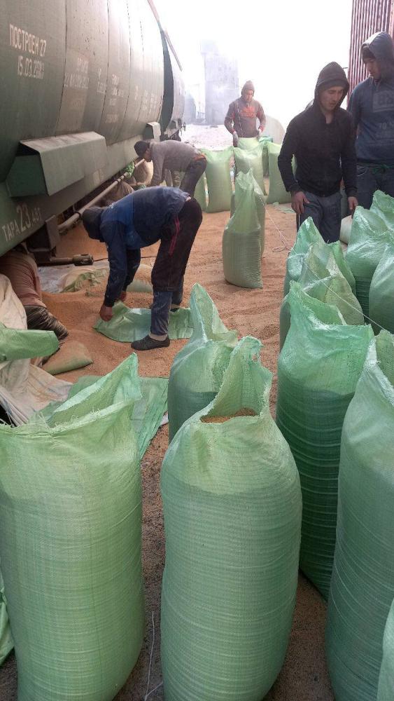 Соя шрот (Аргентина) 46,5%