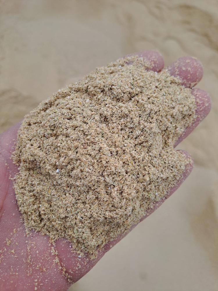 Sholi kepak sotiladi