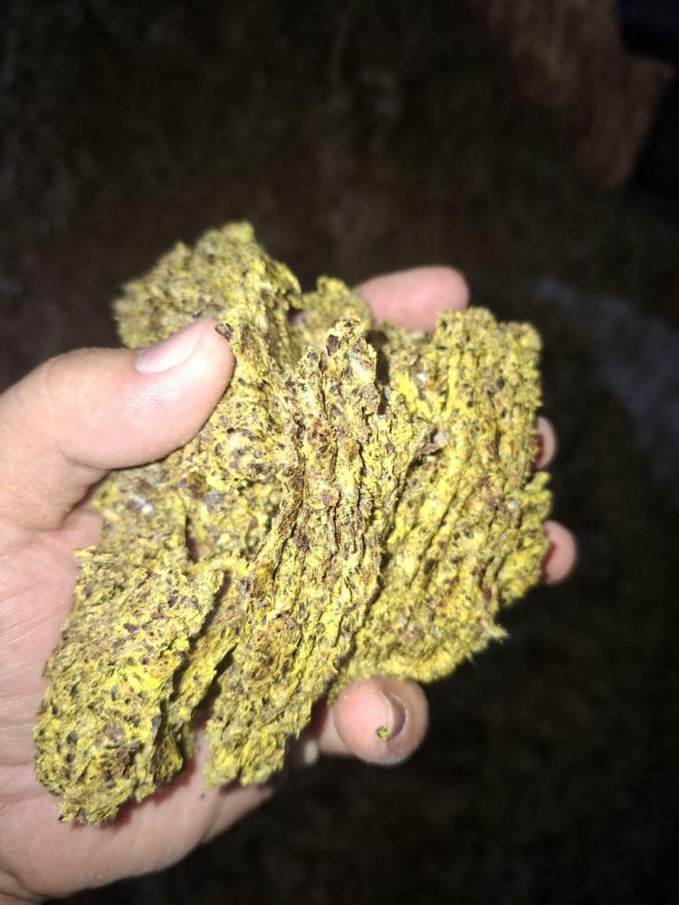 Kunjara 30 kg - 5600 sòm