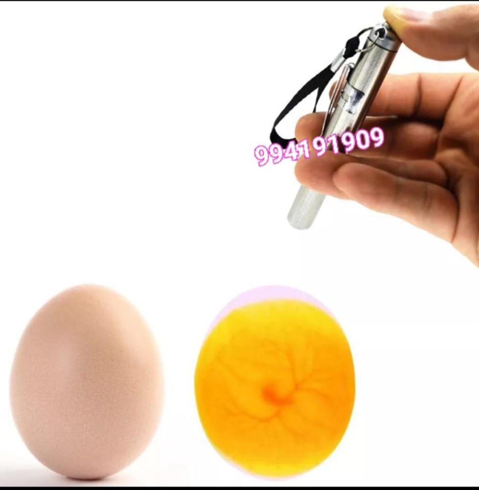 Avaskop inkubator uchun