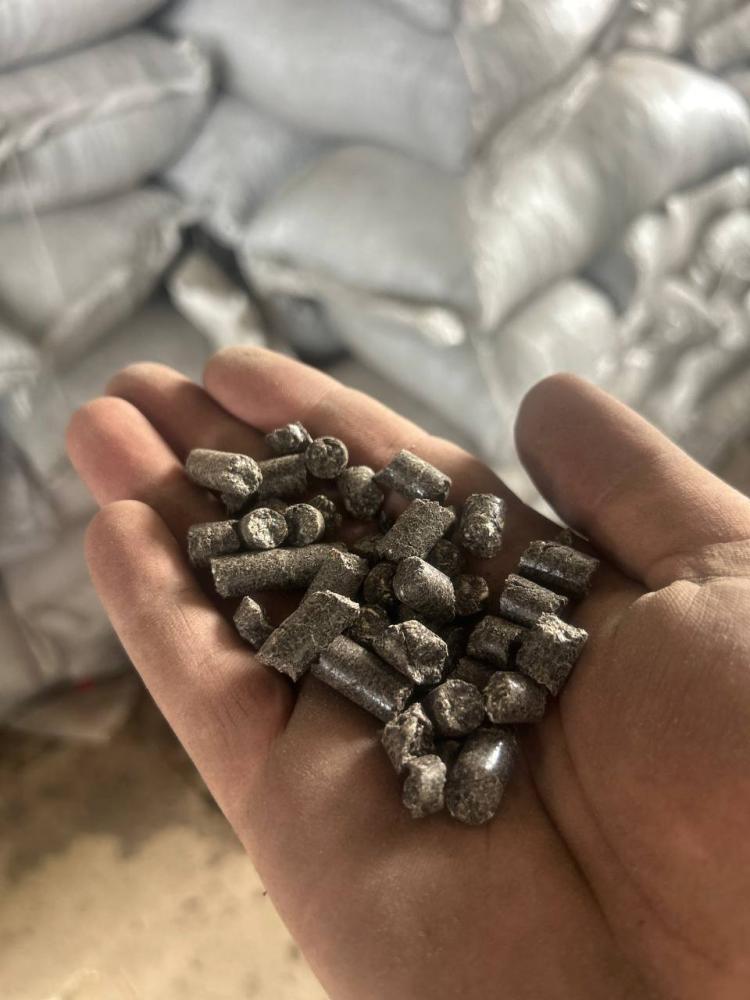 Soya va semichka shroti