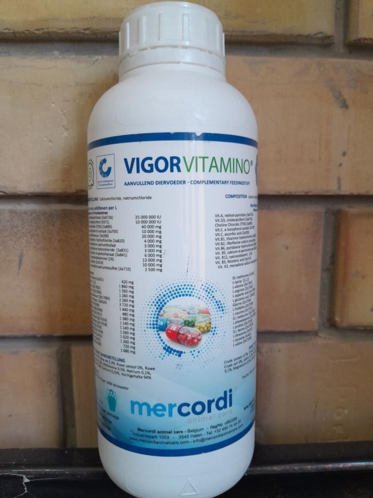 VIGORVITAMINO витаминно-аминокислотный комплекс