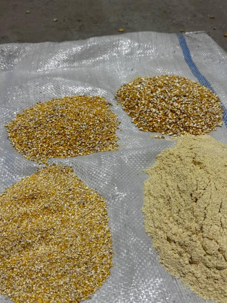 Makka yorma 4600 soʻm