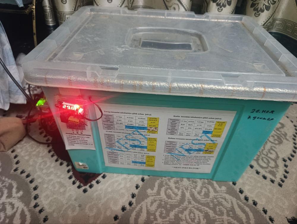 Inkubator 60ta sigʻimi