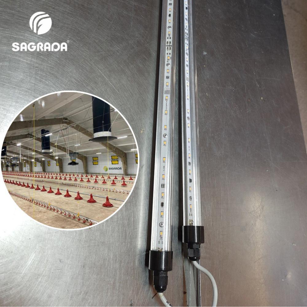 Parrandachilik uylar uchun LED yoritish