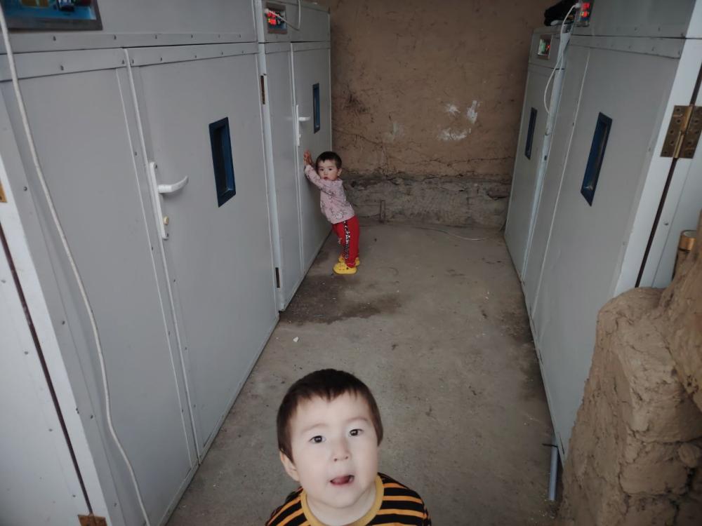 Inkubator xizmati Jizzaxda