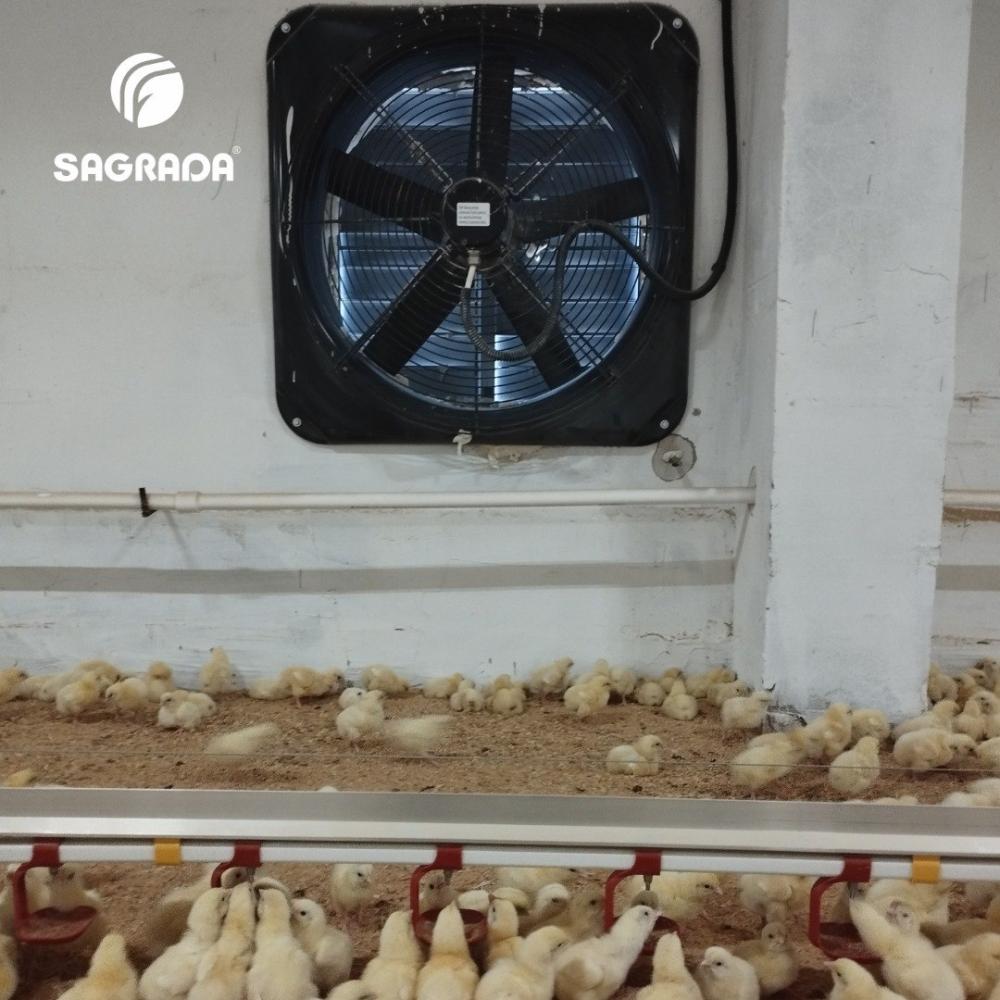 Broylerlar uchun ventilyatorlar