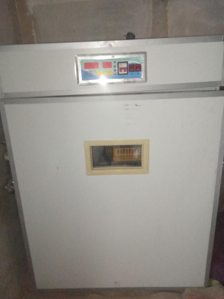 Сотилади инкубатор телефонлар