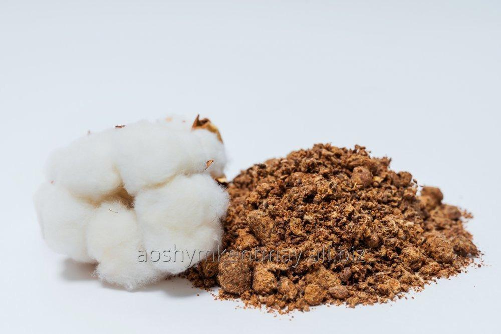 Пахта шроти