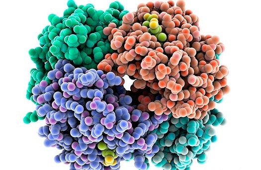 Пробиотиклар