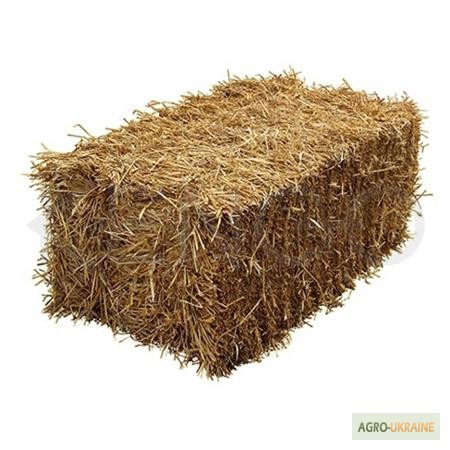 Катта квадрат пресс