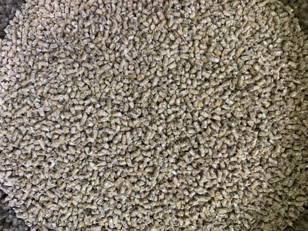 Ўрдак учун комбикормлар