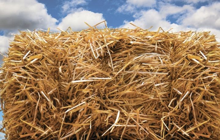 Буг‘дой сомони