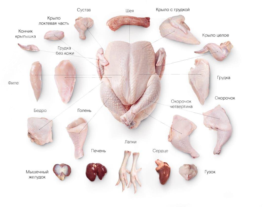Broiler go'shti 2.0–3.0 kg