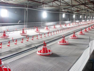 Пол тизимлари